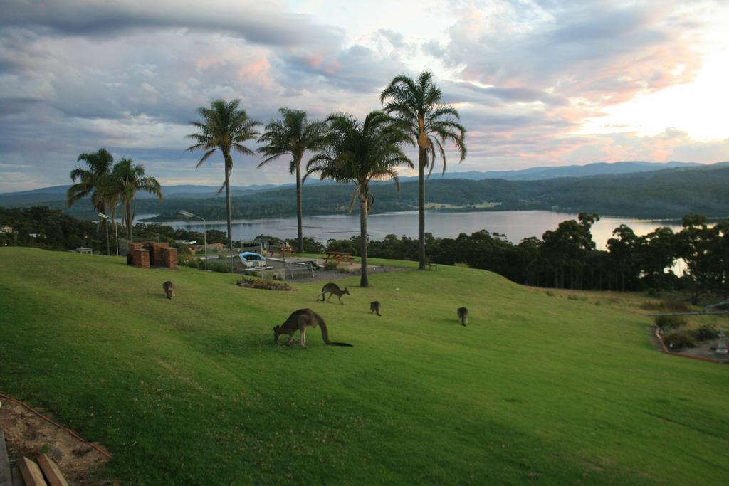 Norfolk Pines Motel Merimbula Exteriér fotografie